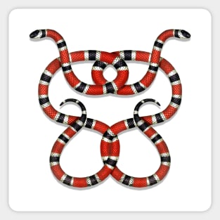 Double Take Snake Sticker